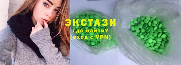 индика Гусиноозёрск