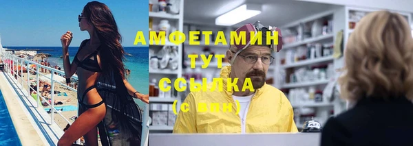 индика Гусиноозёрск