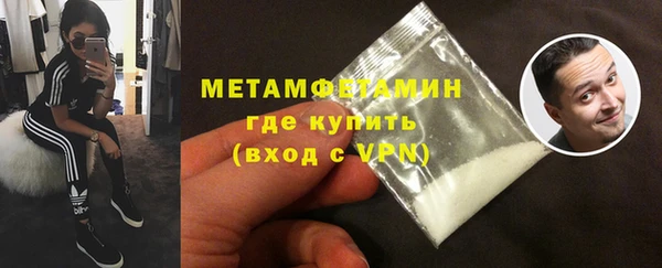 индика Гусь-Хрустальный