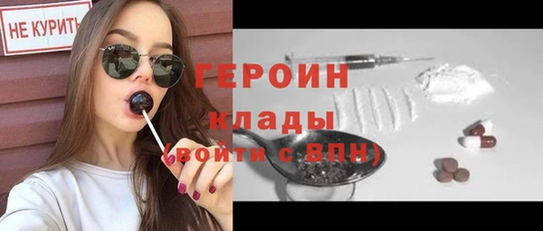 индика Гусь-Хрустальный