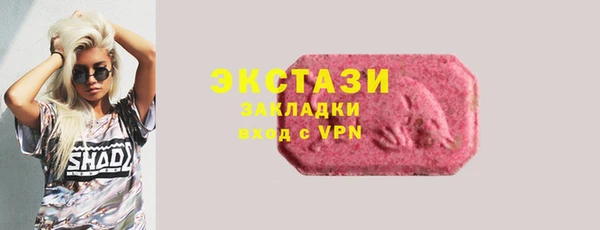 индика Гусиноозёрск