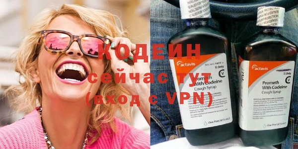 индика Гусиноозёрск