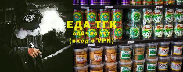 индика Гусиноозёрск