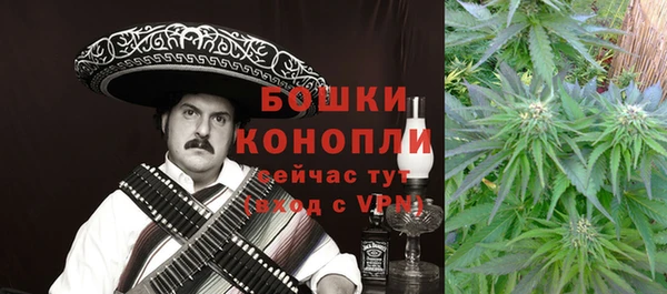 крисы Гусев