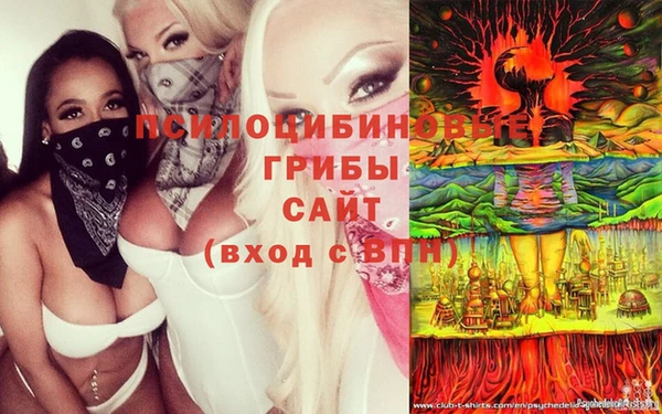 jwh Горно-Алтайск