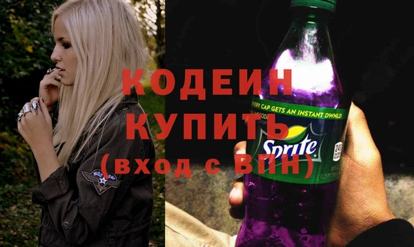 индика Гусь-Хрустальный