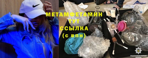 индика Гусь-Хрустальный