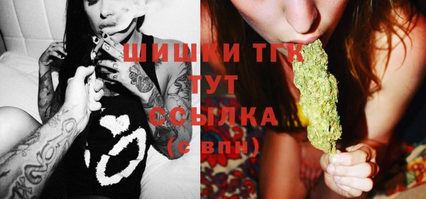 индика Гусь-Хрустальный