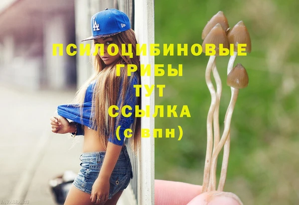 твердый Горнозаводск