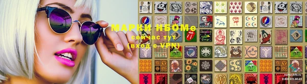 индика Гусь-Хрустальный