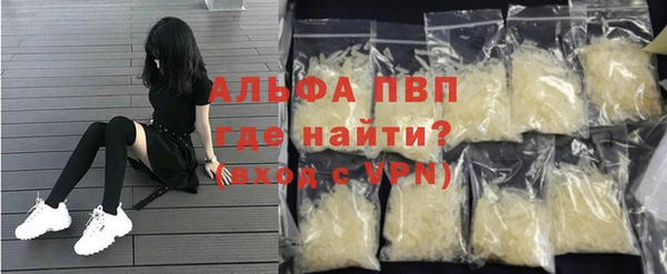 индика Гусиноозёрск