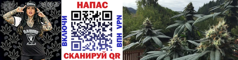 наркота  Альметьевск  Бошки марихуана OG Kush 